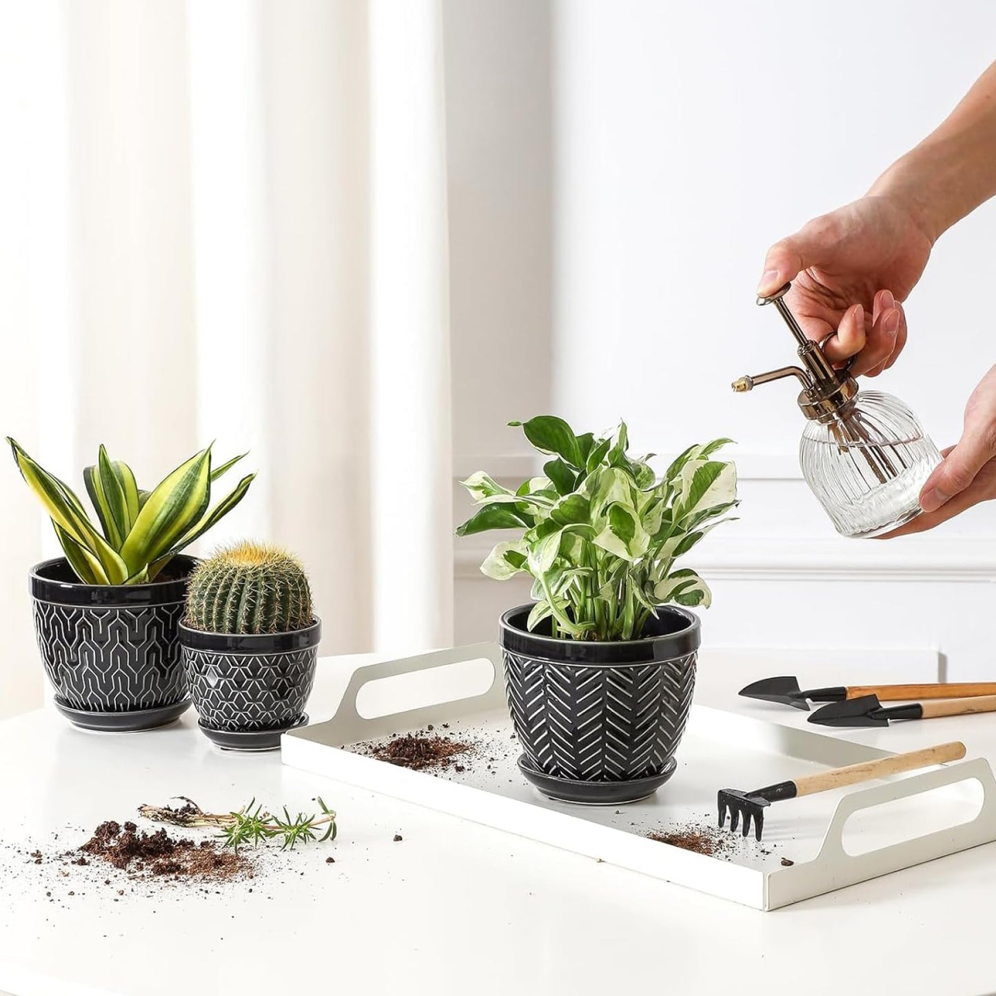 Sureasy Succulent Pots, 3.5 Inch Flower Pots for Indoor Plants, Small Plant Pots with Saucer & Drainage, Decorative Ceramic Planters for Succulent, Cactus, Set of 4, Black