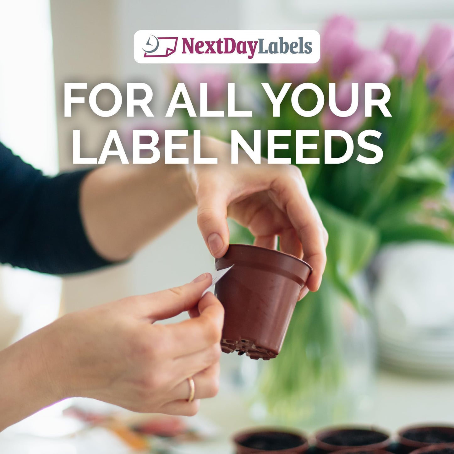 NextDayLabels 1.5 Inch Round Circle Stickers White Blank Labels for Laser Inkjet Printer - 30 Per Sheet Self-Adhesive Jar Candle Product Made in USA - 750 Labels