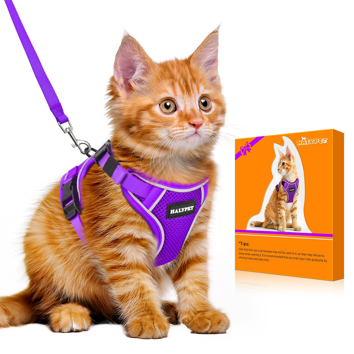 Cat Harness and Leash Set,Escape Proof Kitten Harness,Orange