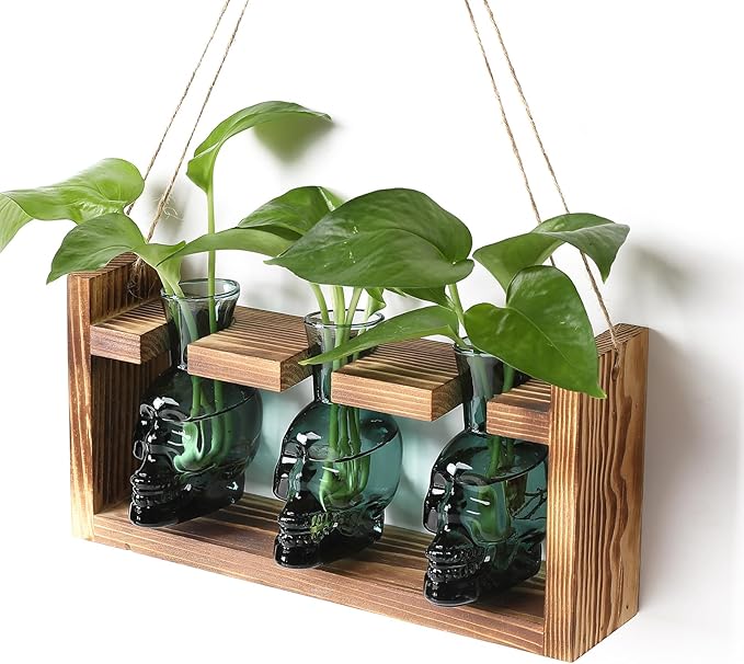 Plant Terrarium Propagation Stations Hydroponics Halloween Skull Planter Vase Skulls Decor with Wooden Stand Gife for Father