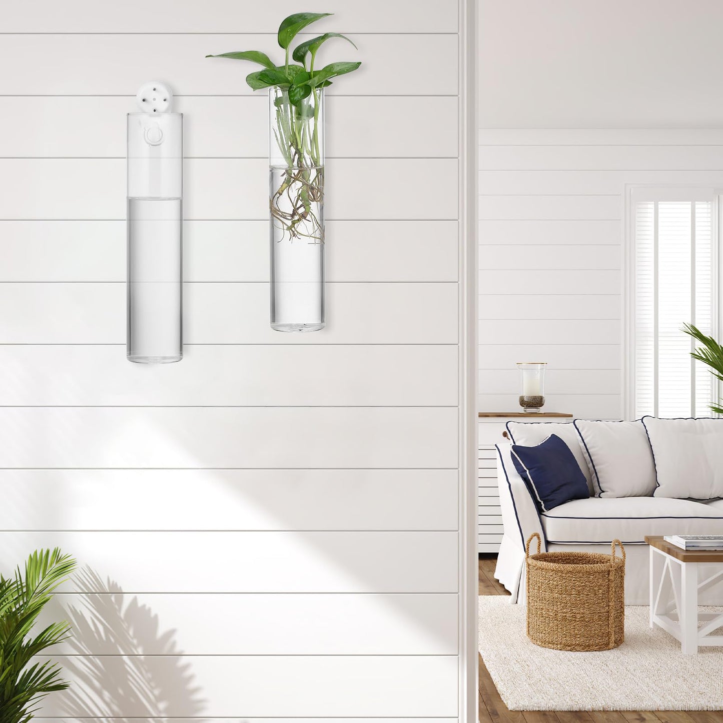 SOESFOUFU Wall Mounted Glass Cylinder Vases for Plants, 2pcs Hanging Hydroponic Terrarium Stations, Glass Flower Holders for Indoor Home Décor
