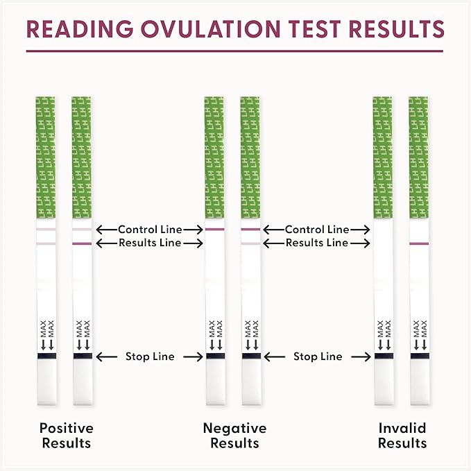 Fairhaven Health BFP Kit - 40 Ovulation and 10 Pregnancy Test Strips – Monitor LH and HCG Levels- Early Detection at Home for Women Trying to Get Pregnant - Made in North America