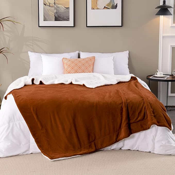 SOCHOW Sherpa Fleece Throw Blanket, Double-Sided Super Soft Luxurious Plush Blanket Throw Size, Fall Throw Blanket, Caramel, 50x60 inches