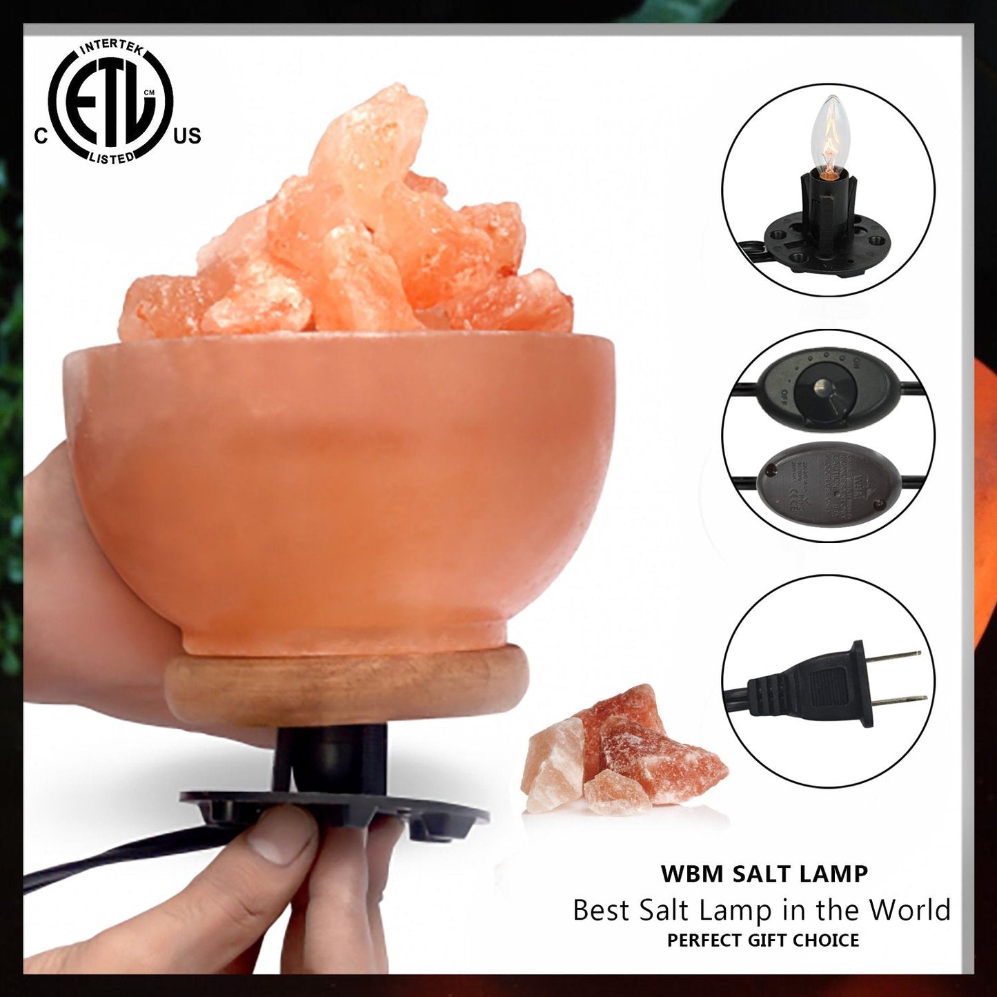 Himalayan Glow 1326 Natural Pink Salt Bowl Night Lamp with Crystal Salt Chunks