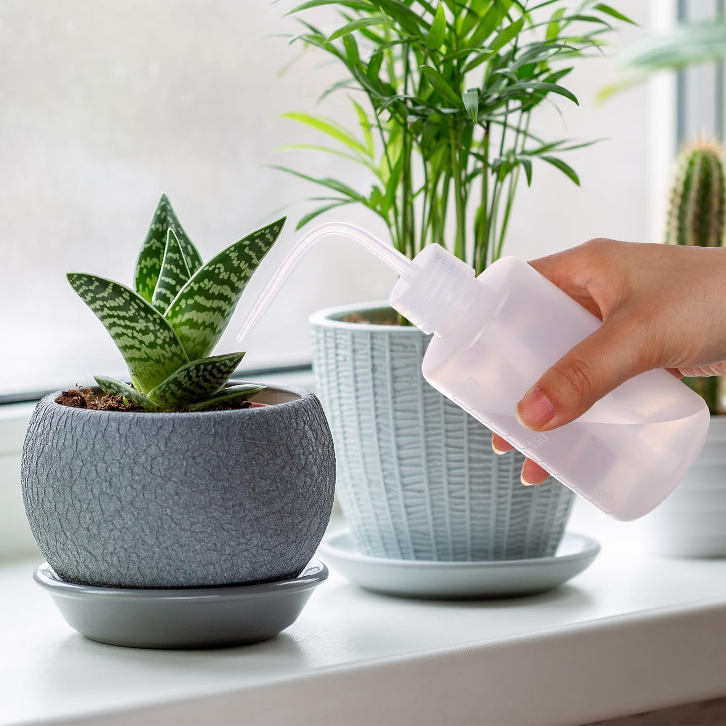 DEPEPE 6-Pack 250ml Squeeze Bottles for Liquids, LDPE Plastic Safety Squirt Bottle with Narrow Mouth & Scale Labels, Small Watering Can for Indoor Plants, Lab Tattoo Cleaning Tools