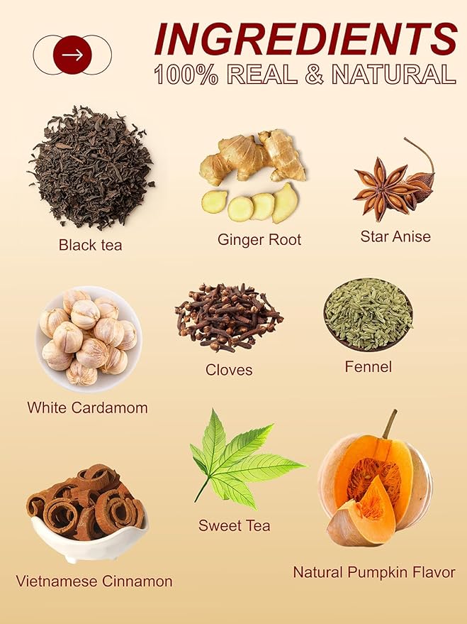 TeeLux Pumpkin Spice Black Tea Bags, Mellow Black Tea with Cinnamon, Cloves, Ginger & Creamy Pumpkin Flavor, Warm & Aromatic, 100 Count