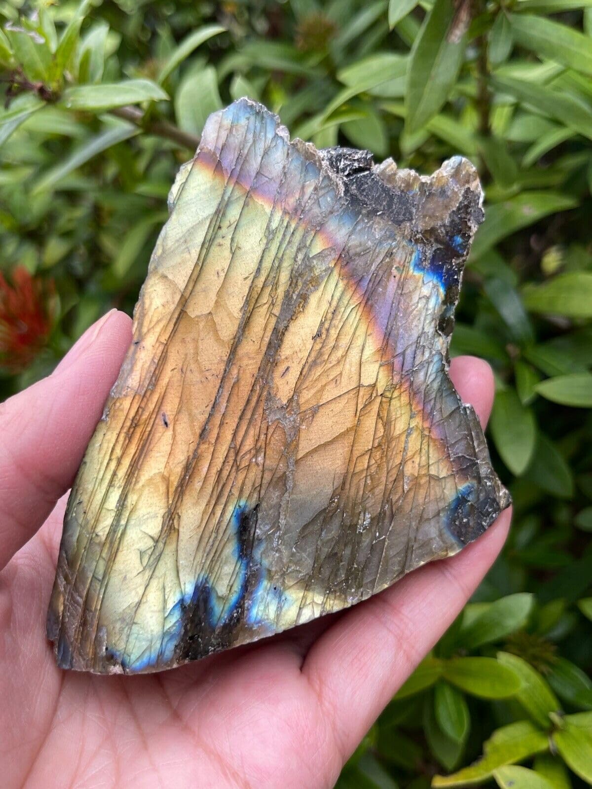 GAF TREASURES XL Raw Labradorite Slab, 3-4" Natural Rough Labradorite Slab, Labradorite Slab Healing Rough Crystal (Labradorite Slab, 0.5-1 lb)