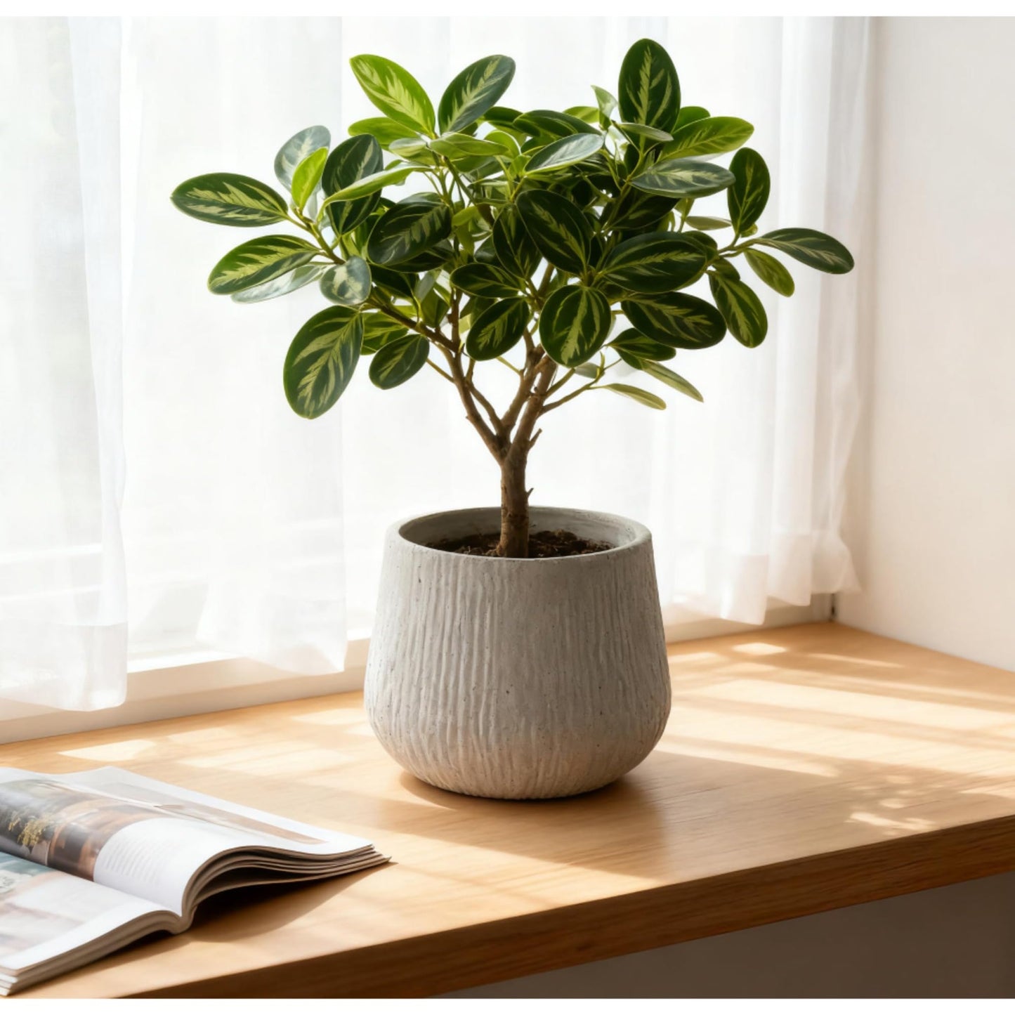 WEALTHOUSE Large Round Modern Planter for Indoor Outdoor Plants with Drainage Holes Lightweight Cement Texture Pot Home Garden Patio Decor Magnesium Oxide Construction