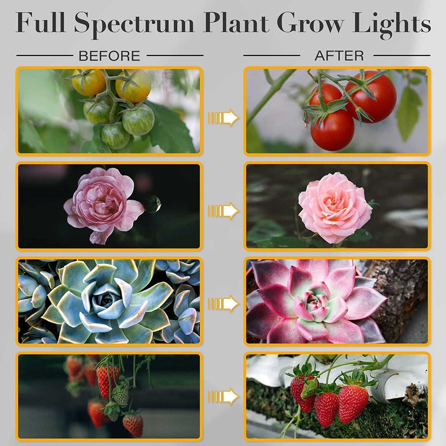 iPower LED Grow Light, 6000K Full Spectrum Clip Plant Growing Lamp with 126 White Red LEDs for Indoor Plants, 5-Level Dimmable, Auto On Off with 4/8/12H Timer