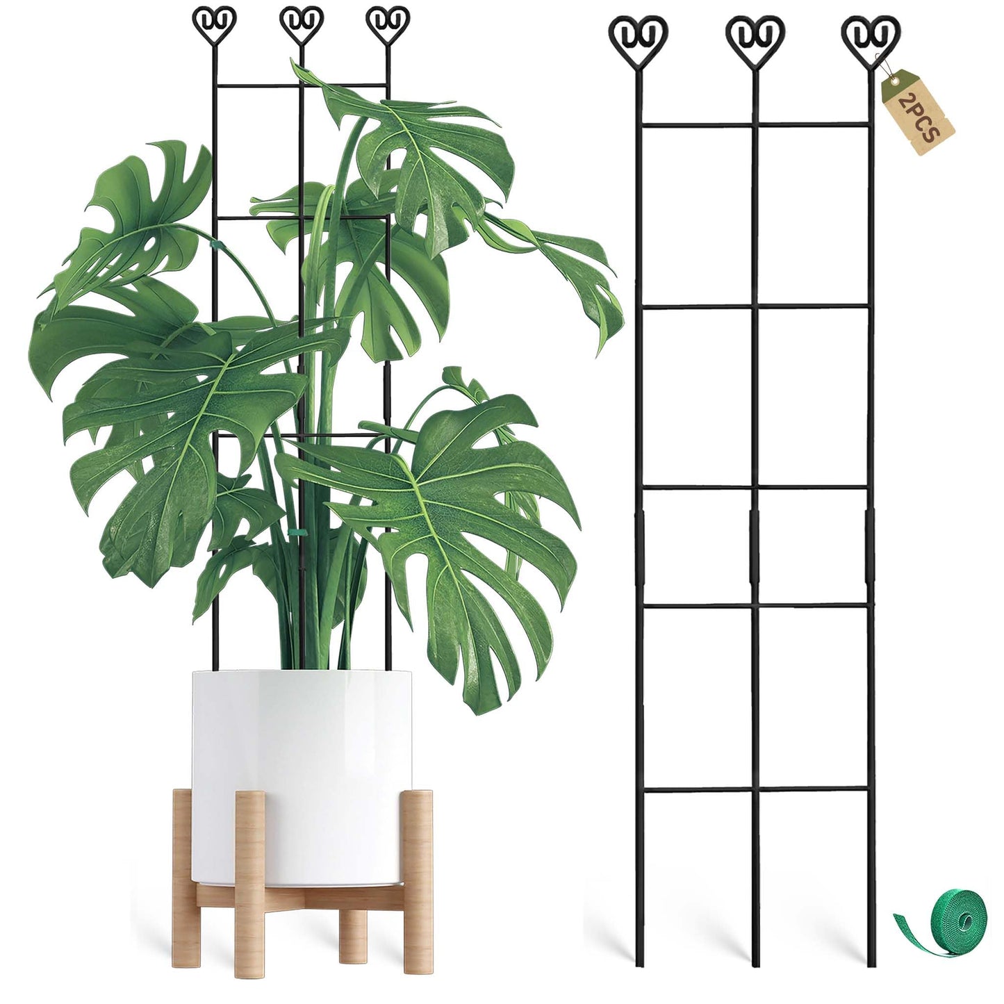 Coomin 2 Pack 32in Monstera Plant Support Stakes for Indoor Plants, Stackable Garden Trellis for Climbing Plants Outdoor, Metal Plant Climber Support for Pothos Philodendron Vine