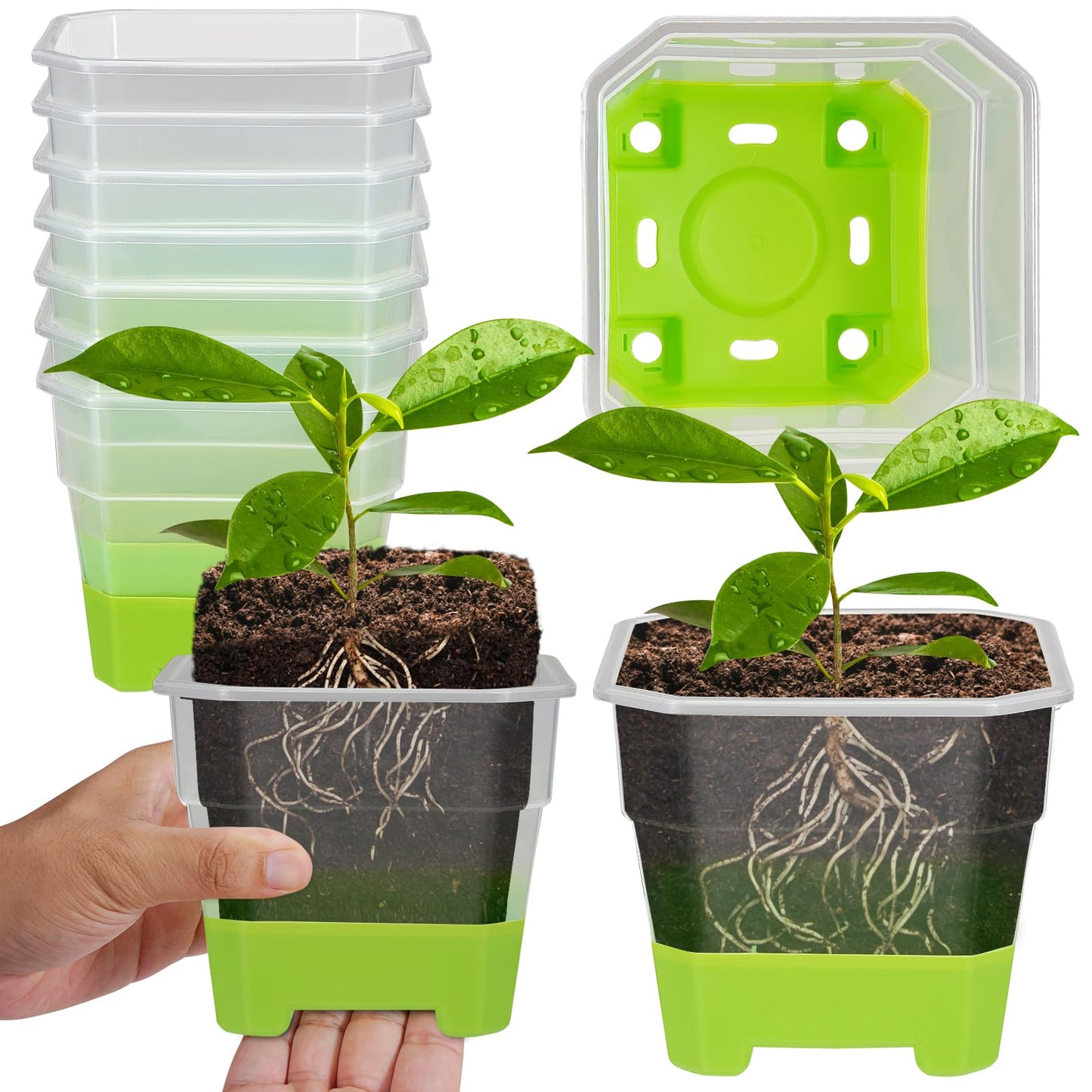 Aobiono 10 Packs 4 Inch Clear Nursery Pots with Reinforced Silicone Base for Easy Transplant, Reusable Seed Starter Seedling Small Plant Flower Pots with Drainage (Green, 10 Packs)