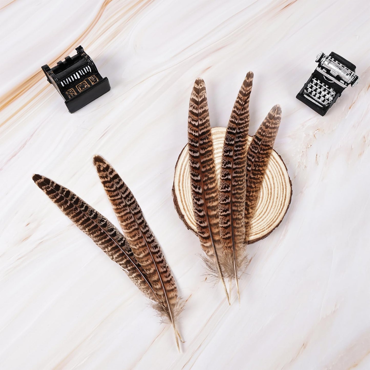 MAOFENG 12pcs Natural Feathers Female Ringneck Pheasant Tails Feathers 8-10inch 20-25cm for Crafts Wedding Party Performance Home DIY Decoration,Female Pheasant Feathers