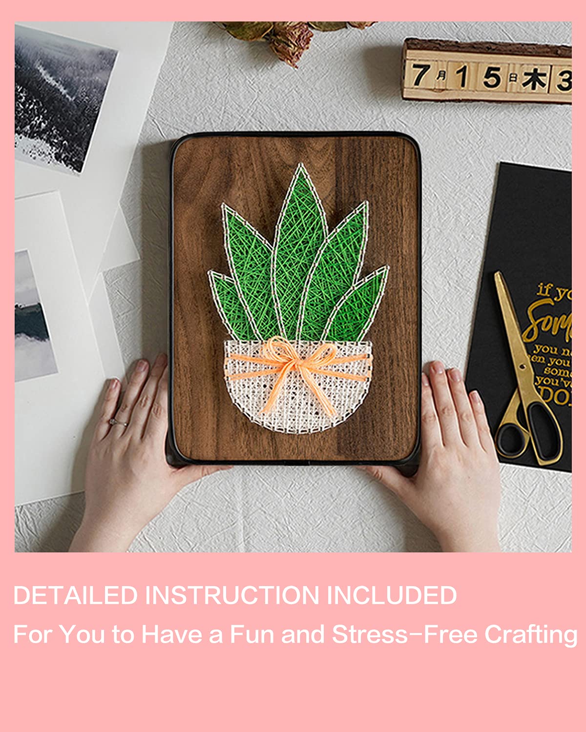 BAZIMA DIY String Art Kit for Beginner,DIY Aloe Potted Craft Kit,Unique Gift,Craft Kit for Holidays