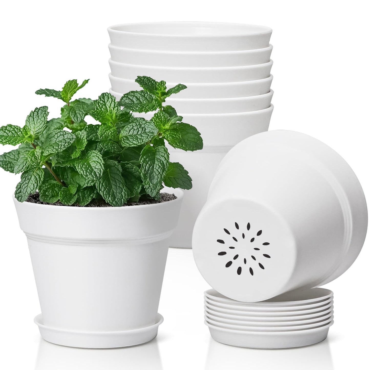 T4U 5 Inch Plant Pot 8-Pack, Plastic Pots with Drainage Hole and Saucer, Decorative Flower Pots Bulk for African Violet, Snake Plant, Succulent and All House Plants Indoor (8pcs 5" Pots, White)