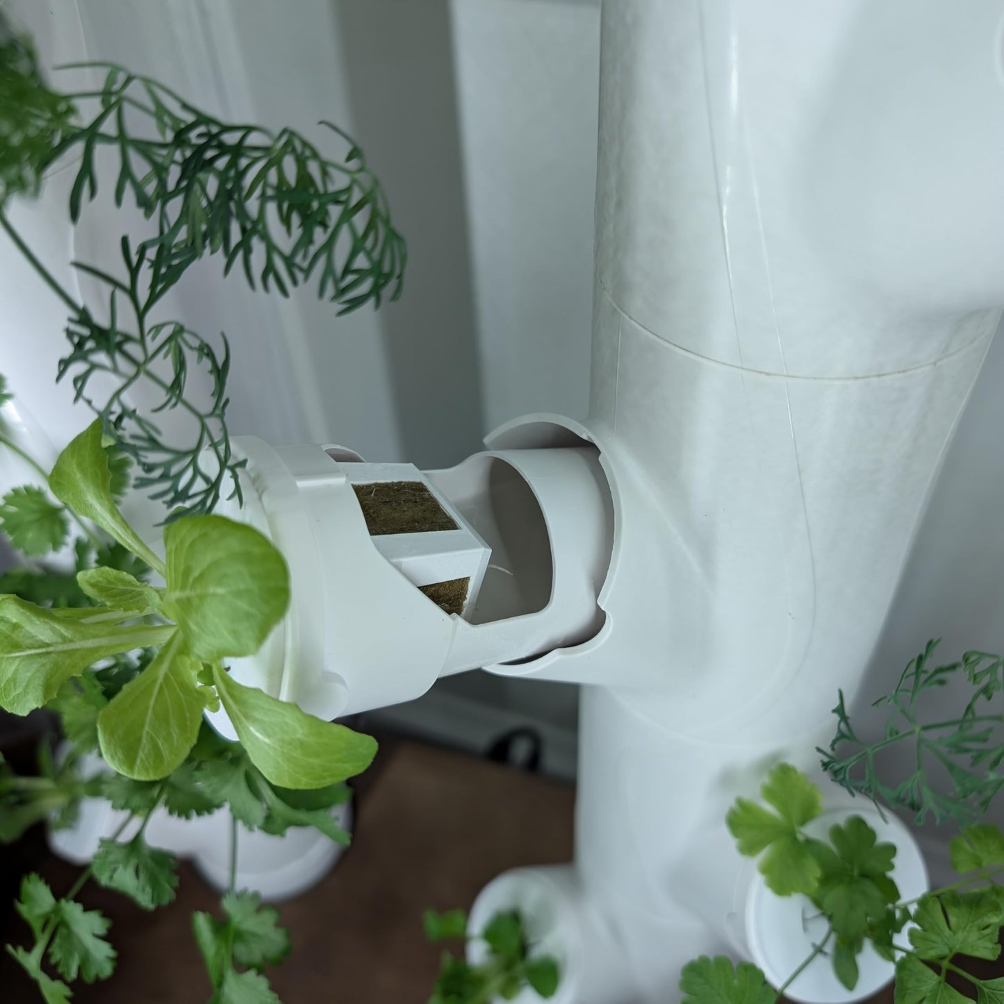 Grow Cubes for Hydroponic System/Grow Cubes Compatible with Gardyn (Seed Starter Nursery)
