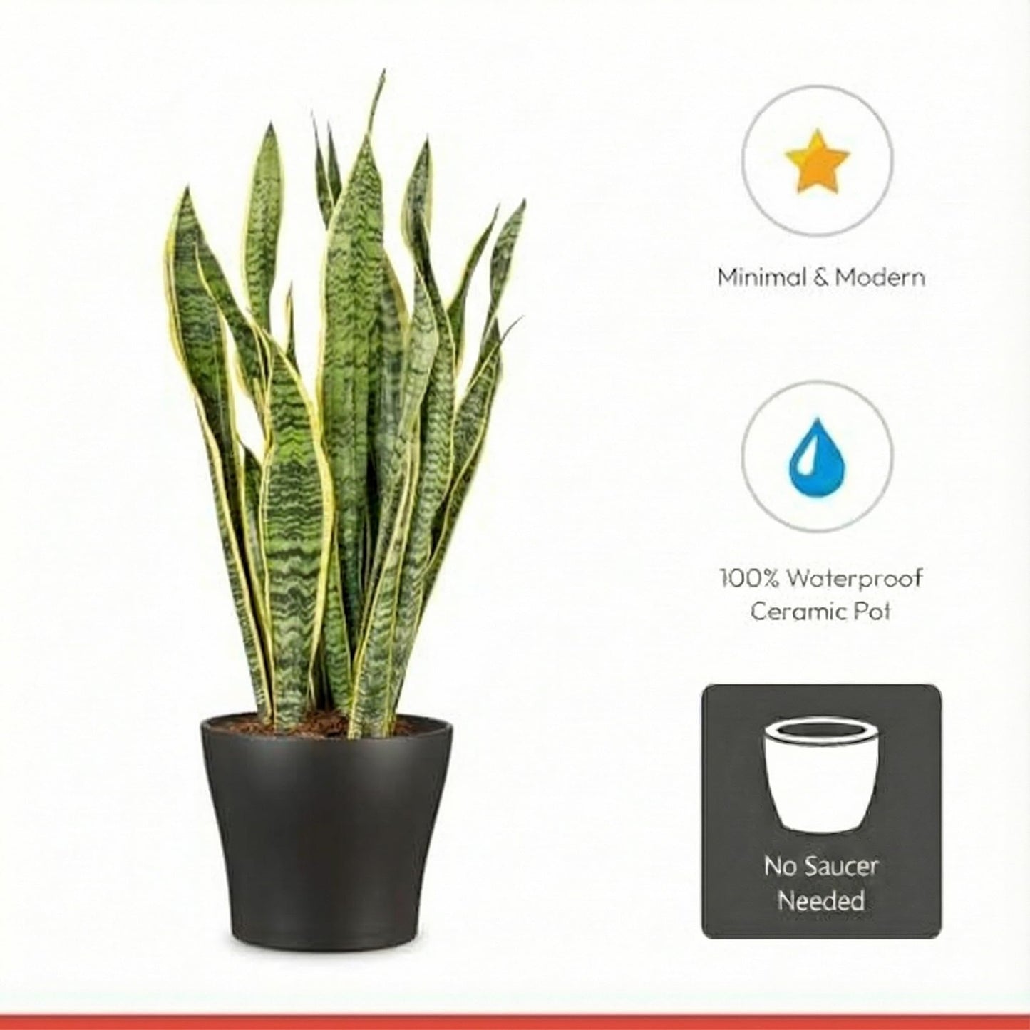 Scheurich Set of 2 Classic Anthrazit Ceramic Plant Pots – 8.3" Decorative Pots for Indoor Plants - Waterproof&UV-Resistant Planters - Durable, Break-Resistant Design - Made in Germany - 1.1 gal