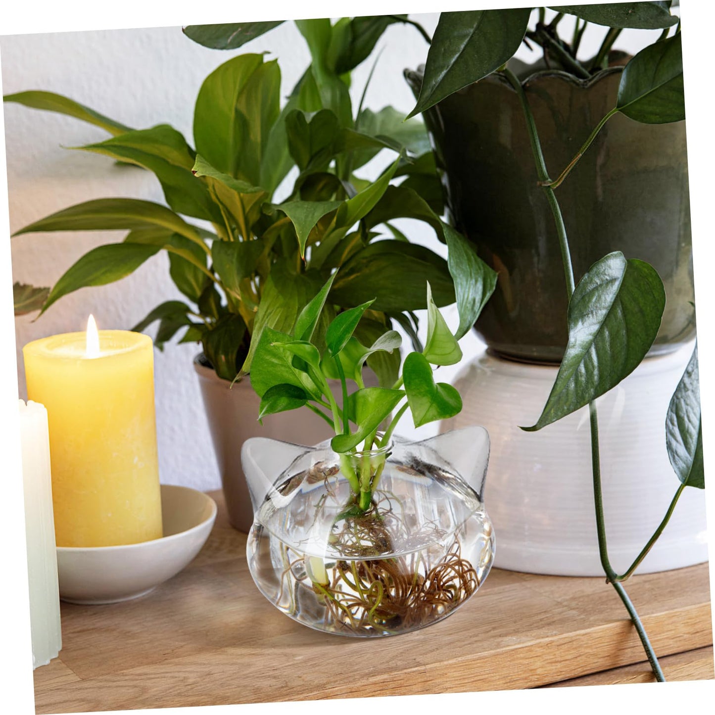 HAKIDZEL 2pcs Cat Shaped Glass Terrarium Vases for Hydroponic Plants Delicate Home Flower Vase with Smooth Design Cute Decorative Containers for Desktop and Coffee Table Display