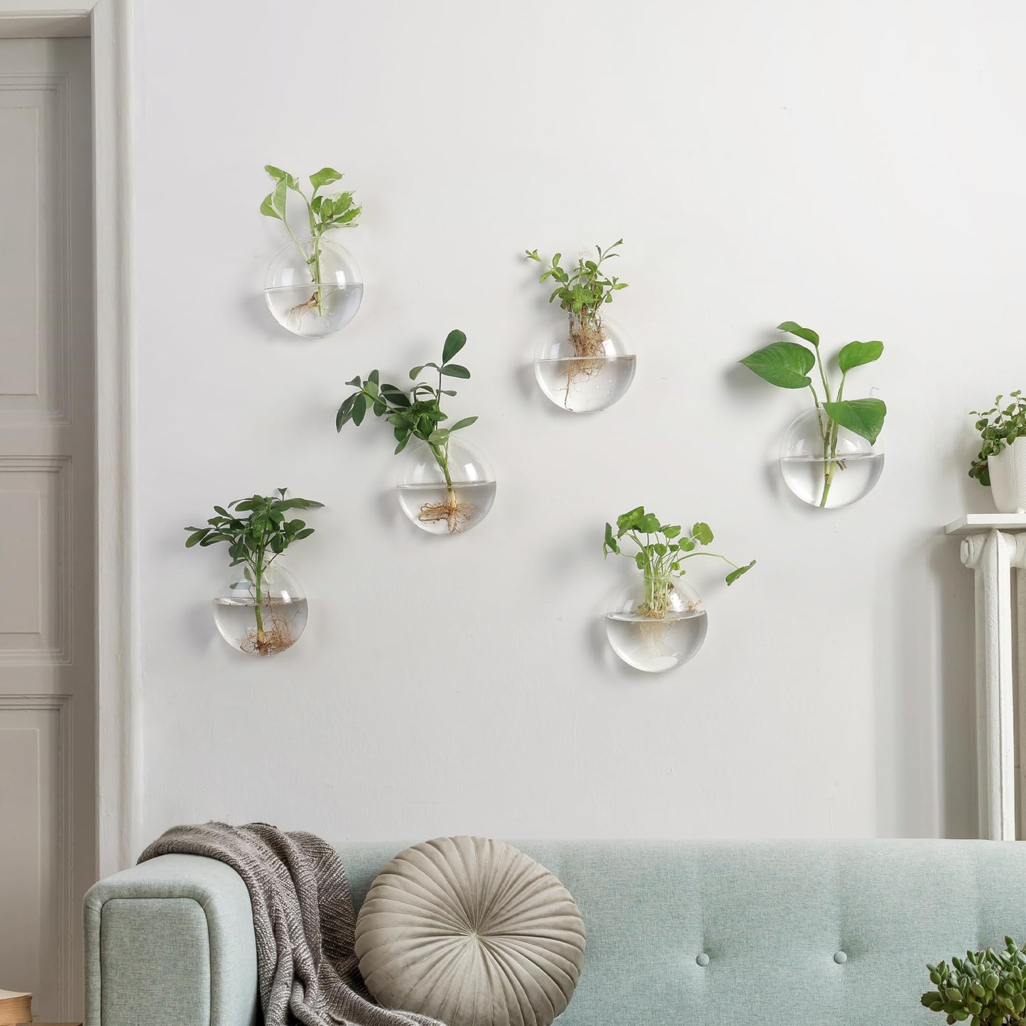 Wall Propagation Planters 6 Pack Glass Wall Planters for Indoor Plants, Wall Plant Holder Plant Propagation Wall Hanging, Glass Flower Vase Indoor Hydroponic Decor