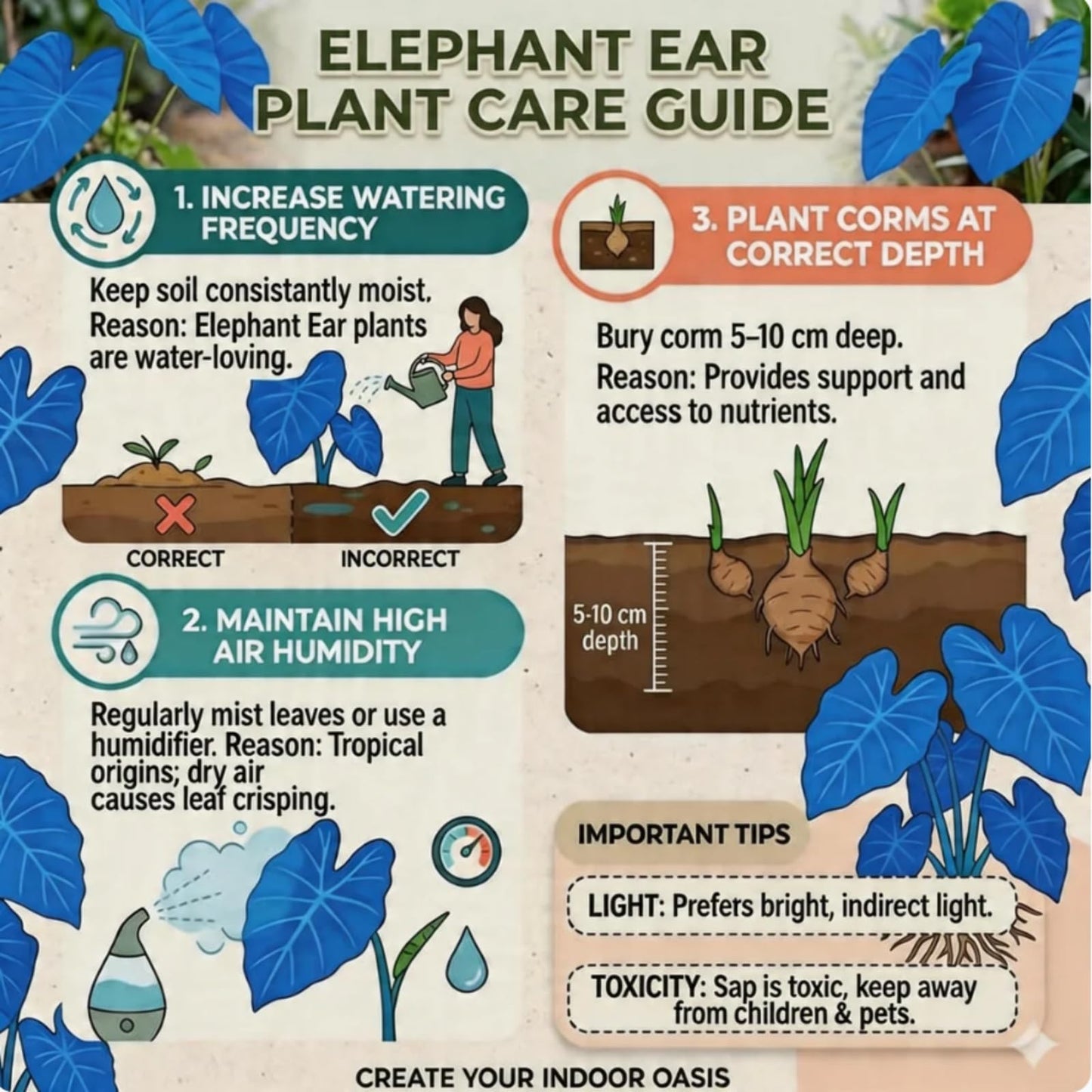 GHUKMJH Broad Leaf Colocasia Elephant Ear - Fast Foliage Growth, Simple Care, Wonderful for Home Garden Balcony Accent Decor (6)