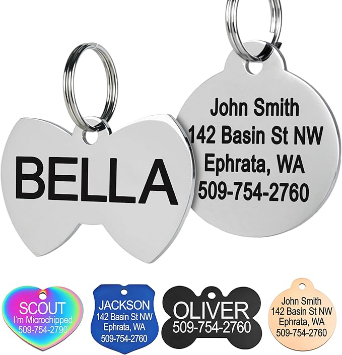 GoTags Stainless Steel Pet ID Tags, Personalized Dog Tags and Cat Tags