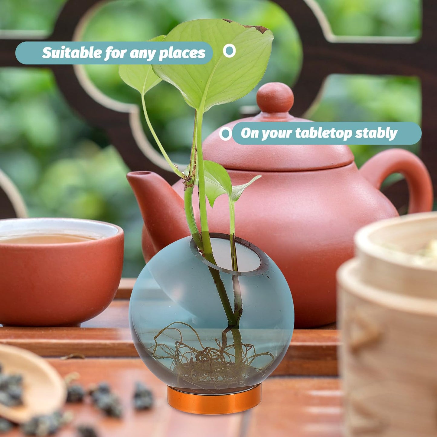 Cabilock Glass Hydroponic Vase with Copper Stand, Small Round Floral Arrangement Terrarium for Indoor Plant Decor and Hydroponic Flowers Display