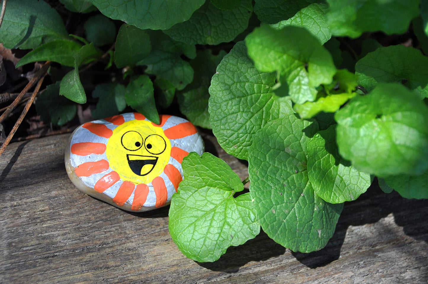Creativity for Kids Rock Painting Kit - Hide and Seek Rock Kit, Arts and Crafts for Kids, Gifts for Kids (Ages 6+)