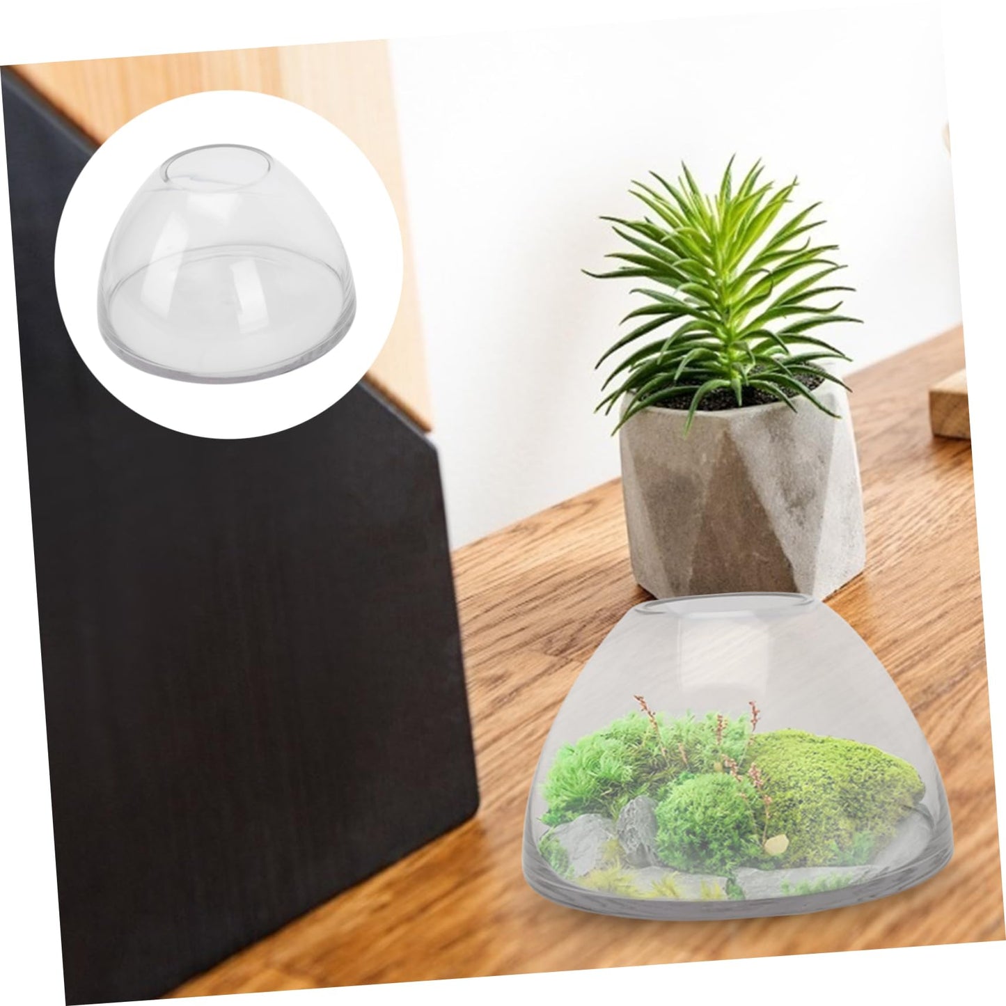 HANABASS Simple Plant Terrarium Glass Moss Micro Landscape Bottle for Home Decor