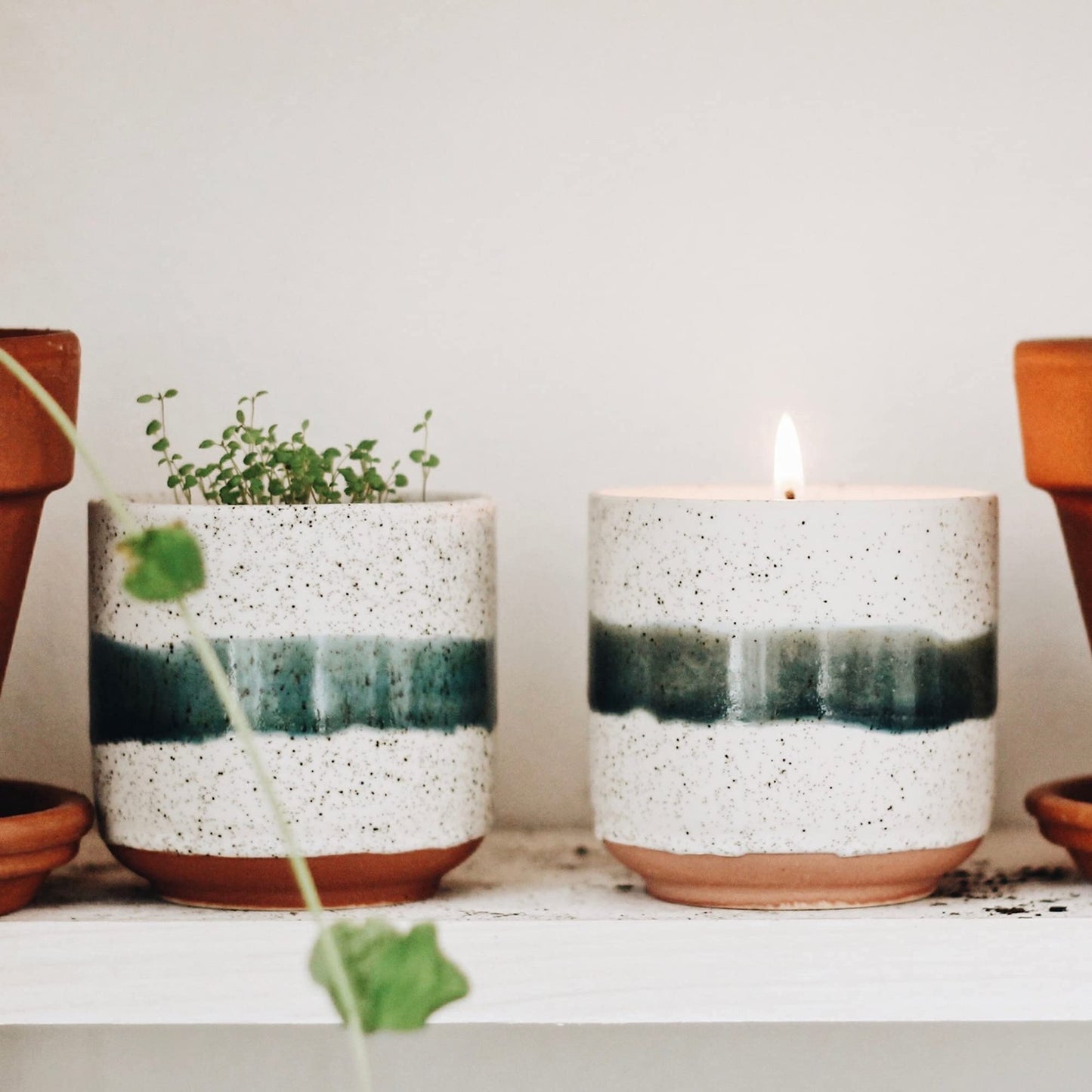 Hyggelight - The Growing Candle, Lavender Scented, 8.5oz Ceramic Pot, Single Wick Aromatherapy Candles, 100% Soy for Women and Men, Edith