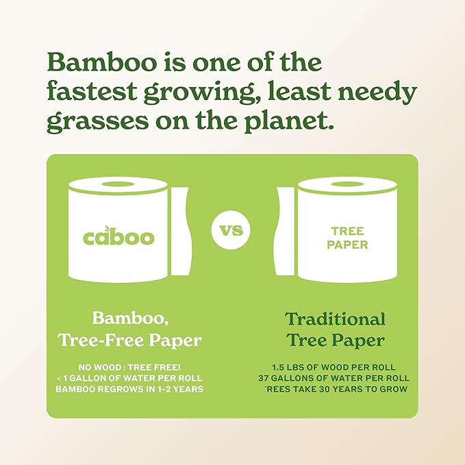 Caboo Tree Free Paper Towels, 8 Rolls, Earth Friendly Sustainable Kitchen Paper Towels with Strong 2 Ply