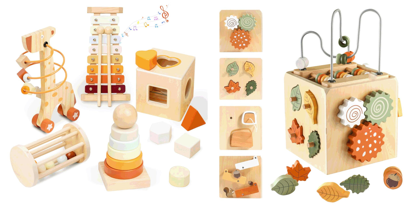 Smartwo Wooden Montessori Toys Set & Activity Busy Cube for Toddlers 1-3