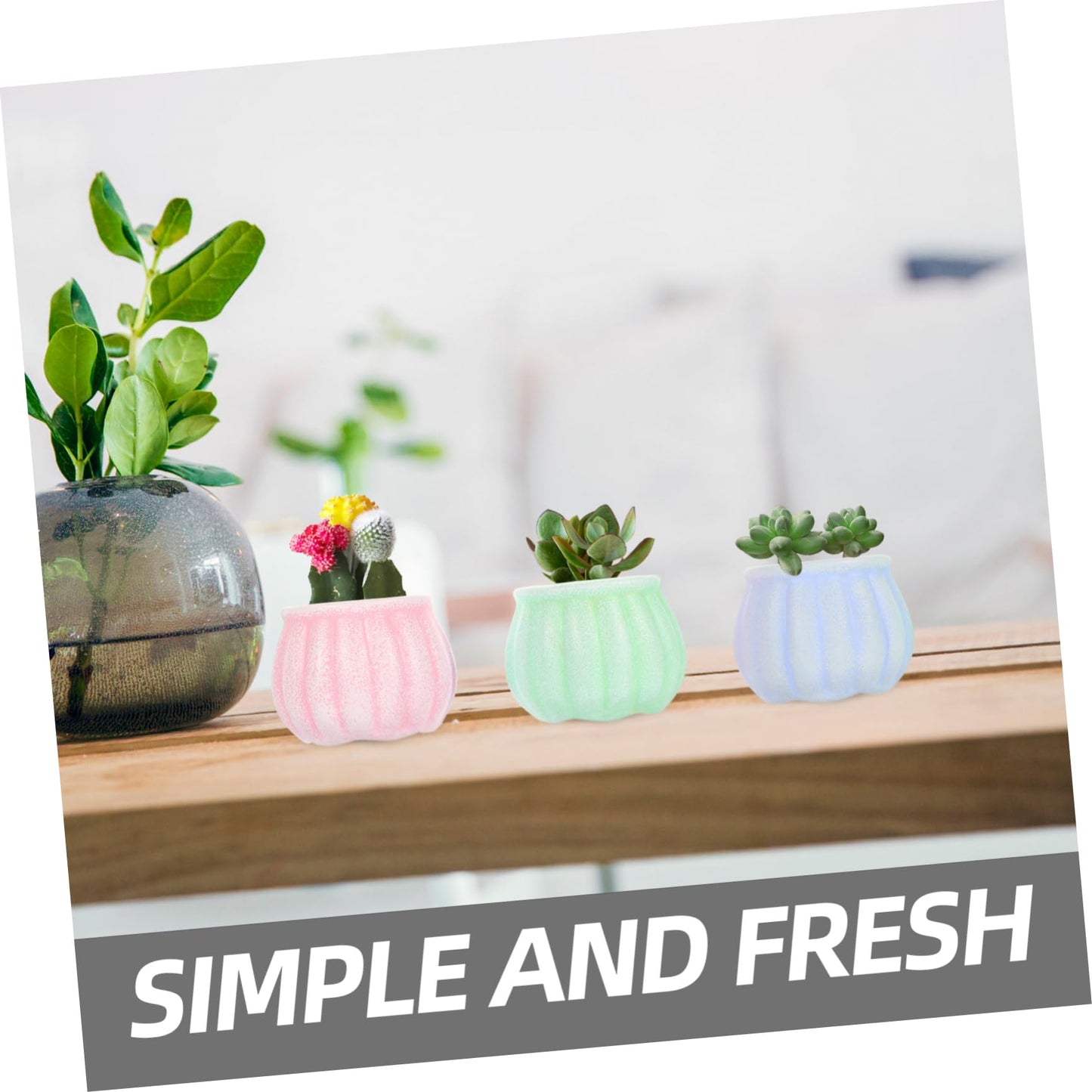 ORFOFE 3Pcs Ceramic Succulent Flower Pots Creative Desktop Decor Stylish Plant Planters for Home Gardening for Plant Lovers