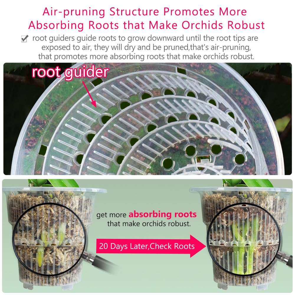 Meshpot 4 inch Clear Orchid Pots with Holes and Saucers for Repotting,Pack of 4,Small Plastic Orchid Planters Provide Good Air Circulation,Nursery Pots for Succulents,Herbs,Aloes,Mint