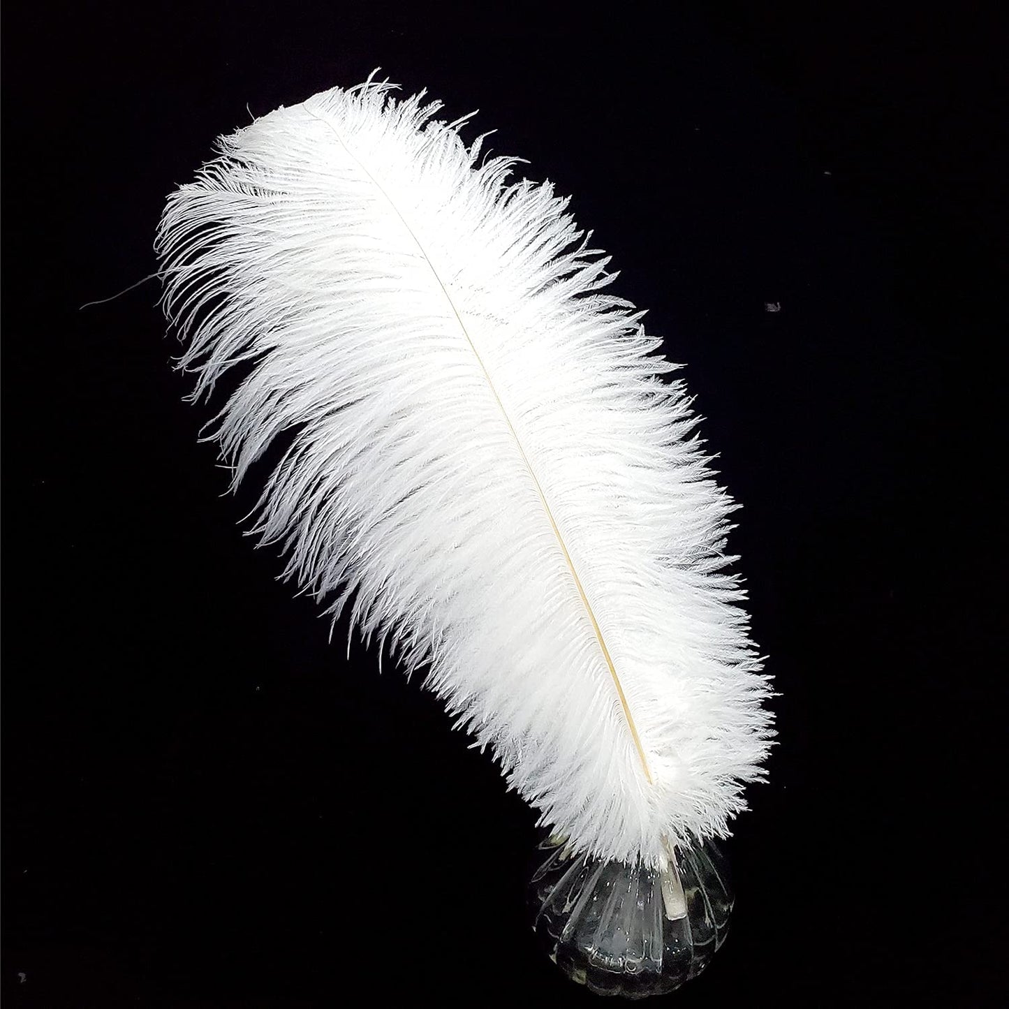 Happy Feather 16-18 inch White Ostrich Feathers Craft for Wedding Party centerpieces Home Decoration DIY Craft Pack of 10