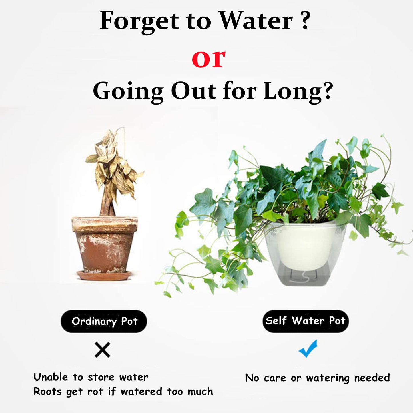 Lyellfe 6 Pack Plastic Self Watering Pots, 4 Inch Clear African Violet Pots for Indoor Plants, Automatic-Watering Planter with Drainage, Wick Rope, Windowsill Gardens, Herb, Orchid