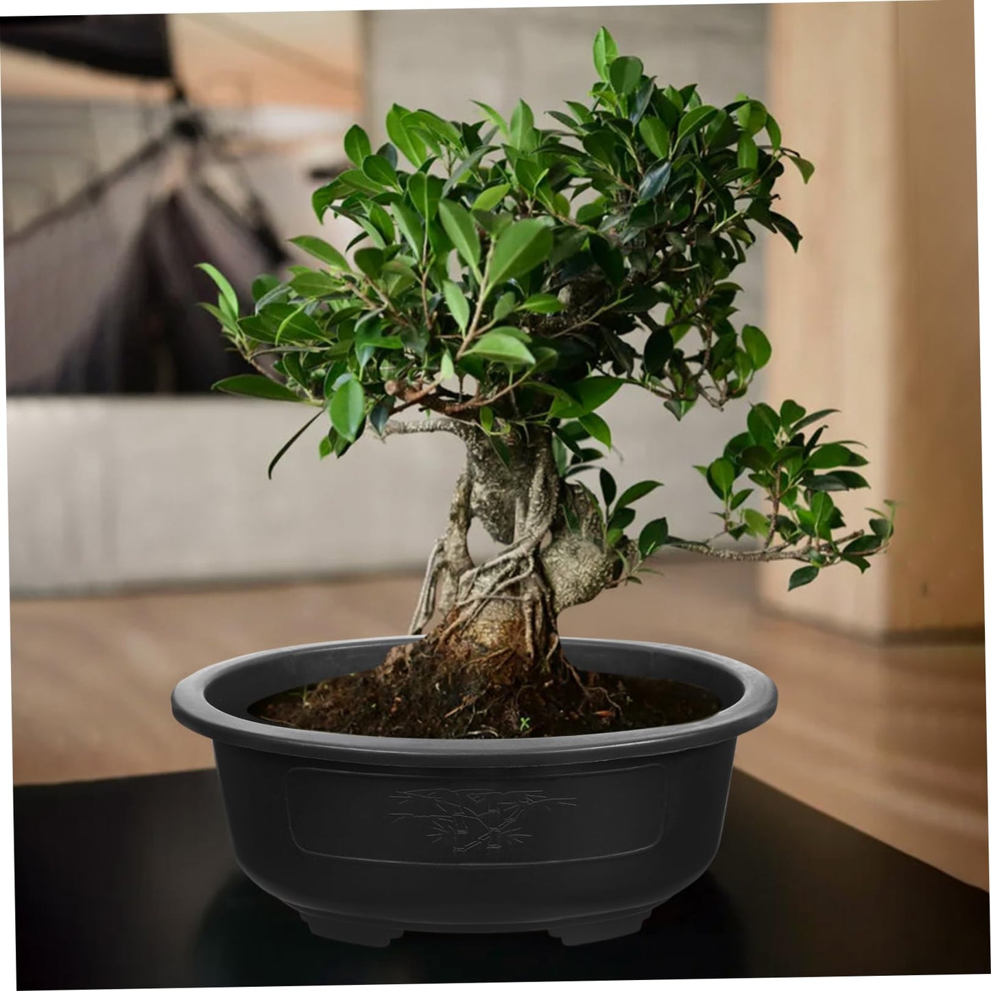 DOITOOL 2Pcs Bonsai Training Pot 15 inch Plastic Flower Pot Bonsai Pot with Drainage Hole, Oval Bonsai Planter Pot Plants Growing Pots for Nursery, Garden, Balcony, Black