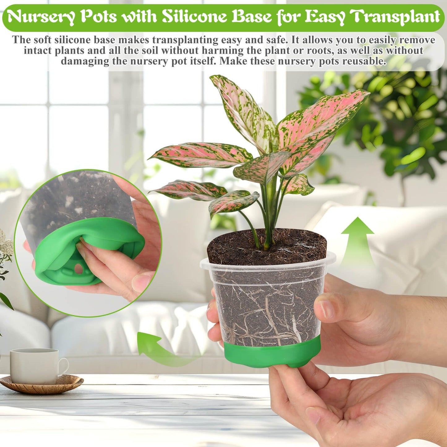 Caffox 51PCS Reusable Seed Starter Kit Includes 26 Packs 3 Sizes Clear Nursery Pots with Silicone Base, Repotting Mat, Gardening Gloves, Plant Labels and Seedling Tools for Easy Transplant