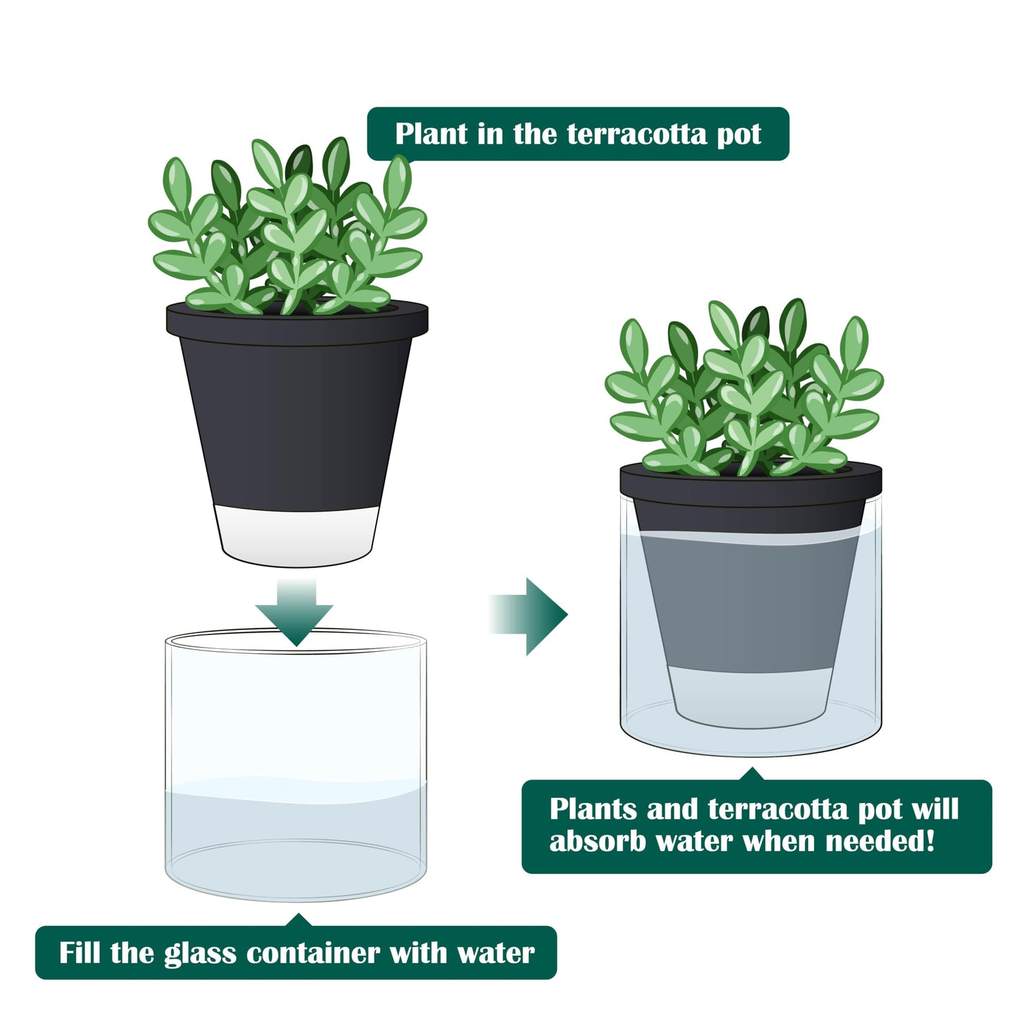 D'vine Dev 4 Inch Design Self Watering Planter for Indoor Plants, Black Terracotta Pot with Cylinder Glass Cup, 37-X-A-3