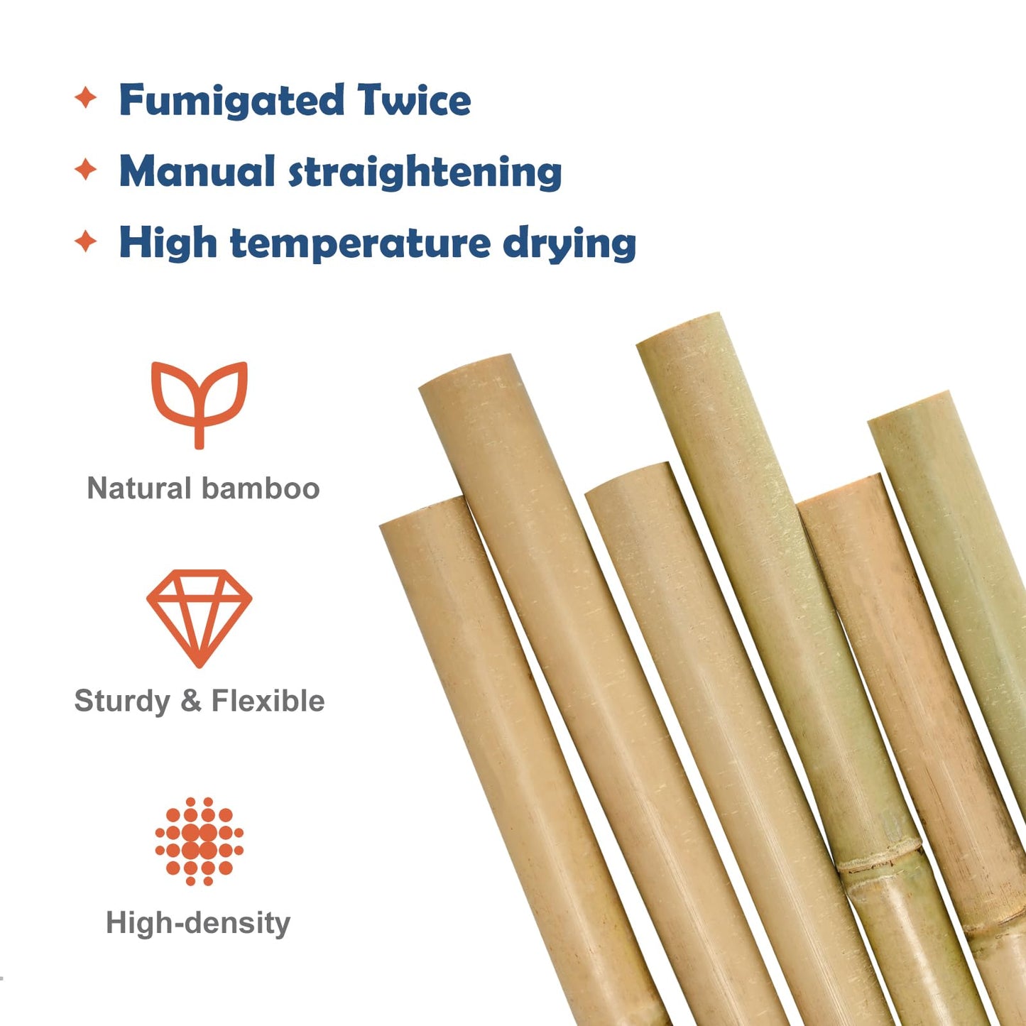 COLOtime 8FT Bamboo Stakes Plant Stakes 1 Inch Thick Diameter Garden Stakes Heavy Duty for Plant Support Outdoor Climbing Plants Support Gardening Stakes 10 Pack