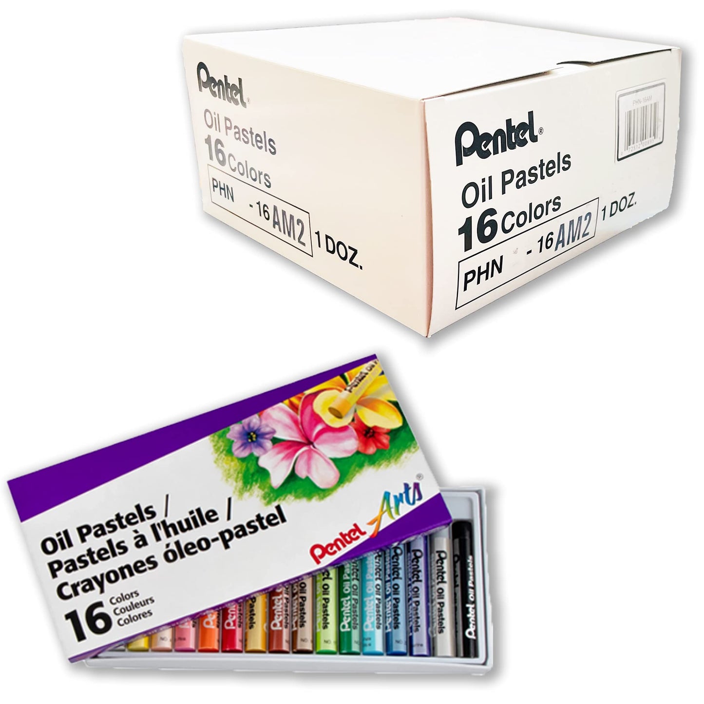 Pentel Arts Oil Pastels, Set of 16 Colors, 1 Dozen (12 Packs), Bulk Pack (PHN-16AM)