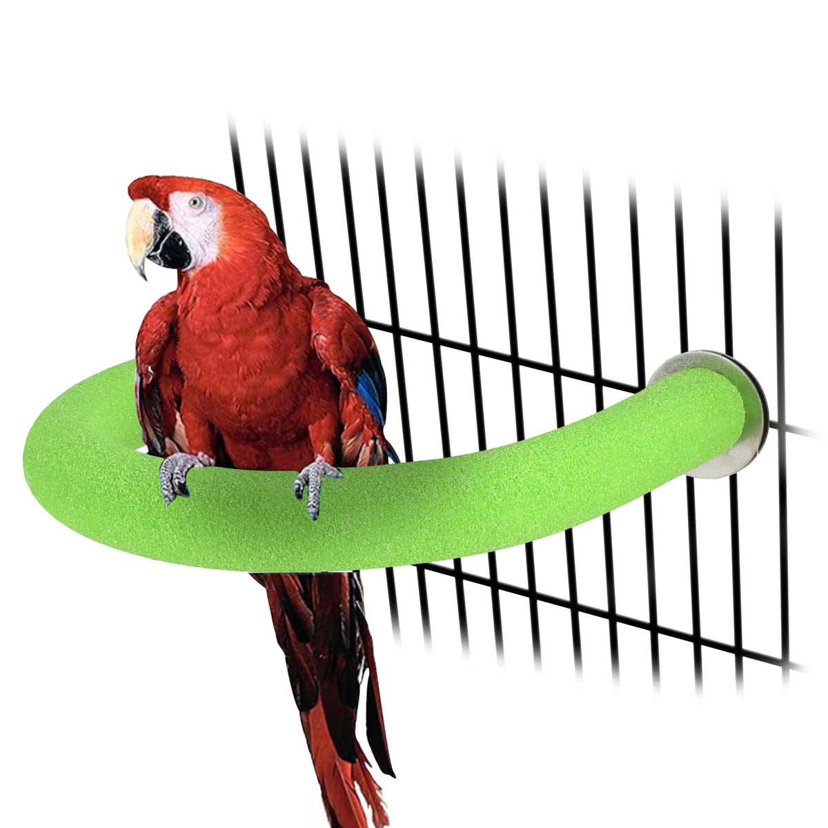 Rypet 90-Degree Parrot Perch for Cage Corner, Quartz Bird Perch (Green XL)