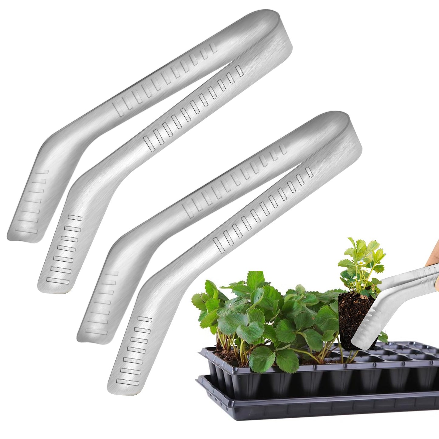 2PCS Seedling Transplant Tongs Stainless Steel Seedling Starters Remove Tongs Seedling Transplanting Tool Seedling Easy Transplanter with Anti-Slip Grasp Tips to Reduce Damage to Roots