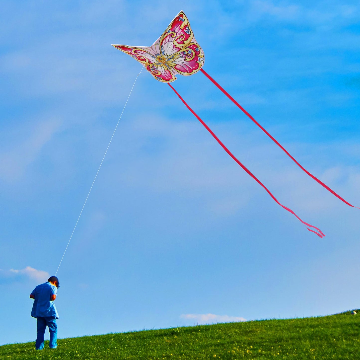 Xida Butterfly Kites for Kids & Adults, Extremly Easy to Fly, Large Kites for Adults, Single Line Kite for Beach Trip, with 200 FT String Handle, Beginners Kite for Kids Ages 4-8