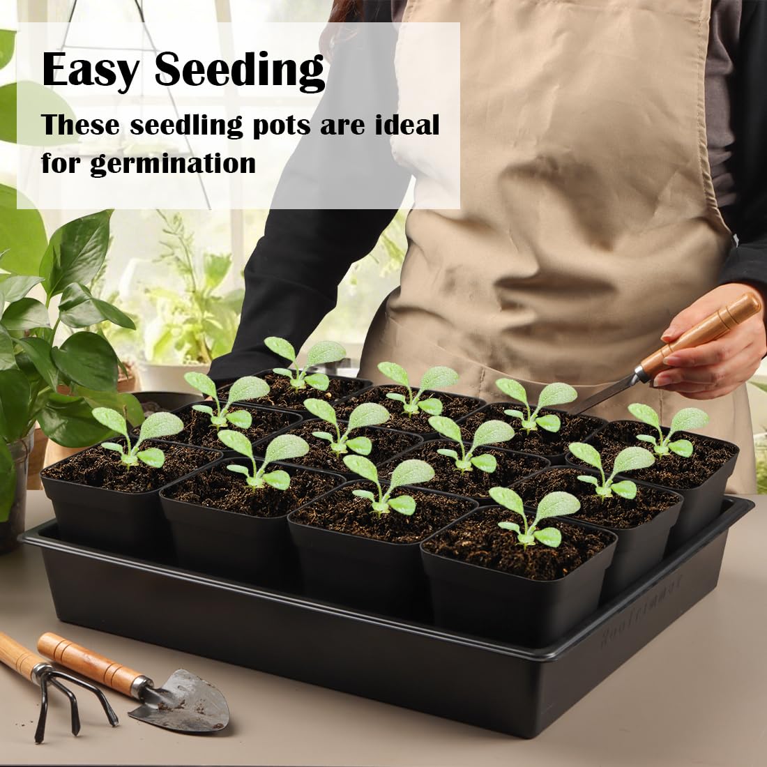 RooTrimmer Seed Starter Tray, 10 Packs Plant Tray, Durable Plastic Growing Trays, Stackable Seedling Starter Trays Perfect for Indoor, Outdoor, Greenhouses, 16.5" L x 13.2" W x 2.8" H - Black