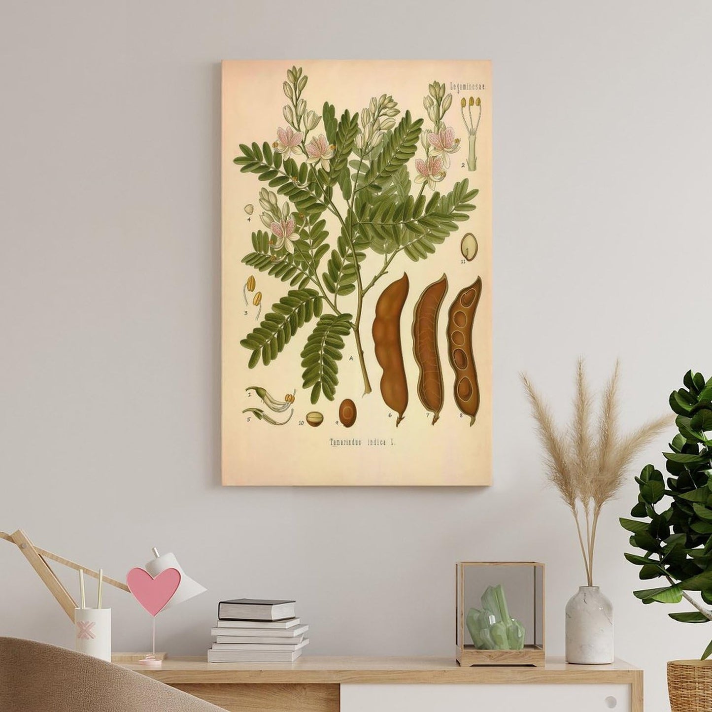 Tamarind Tree Plant Knowledge Poster Canvas Wall Art Posters For Room Aesthetic And Decor Poster For Bedroom Living Room Bathroom Kitchen Office Decor 24x36inch(60x90cm) Unframe-style