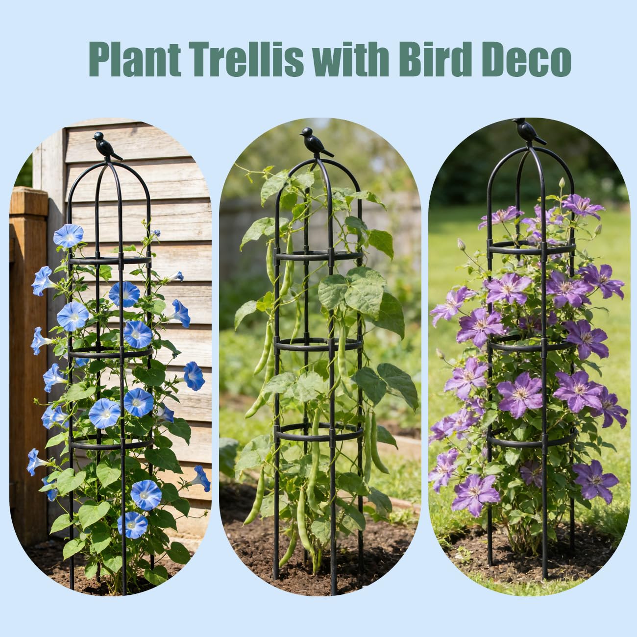 Garden Trellis, 63" Plant Support with Bird Decoration, Plant Trellis for Climbing Vines,Black Decorative Garden Cage for Climbing Roses, Clematis, Vegetables in Patio & Yard-1PACK