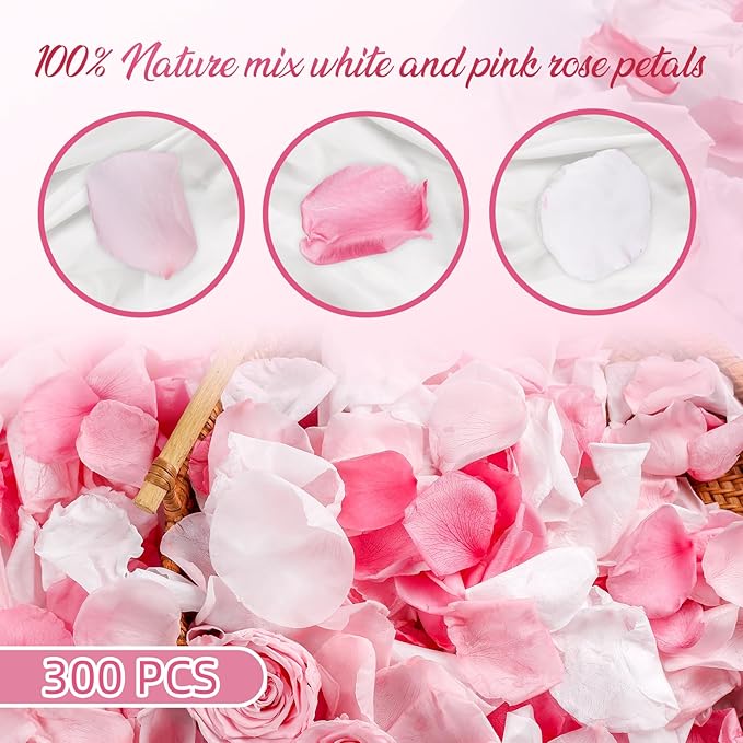 300 PCS Real Pink White Rose Flower Petals Confetti for Wedding Flower Girl to Throw, 2.82oz Freeze Dried Rose Petal for Proposal Centerpieces Romantic Night Decor