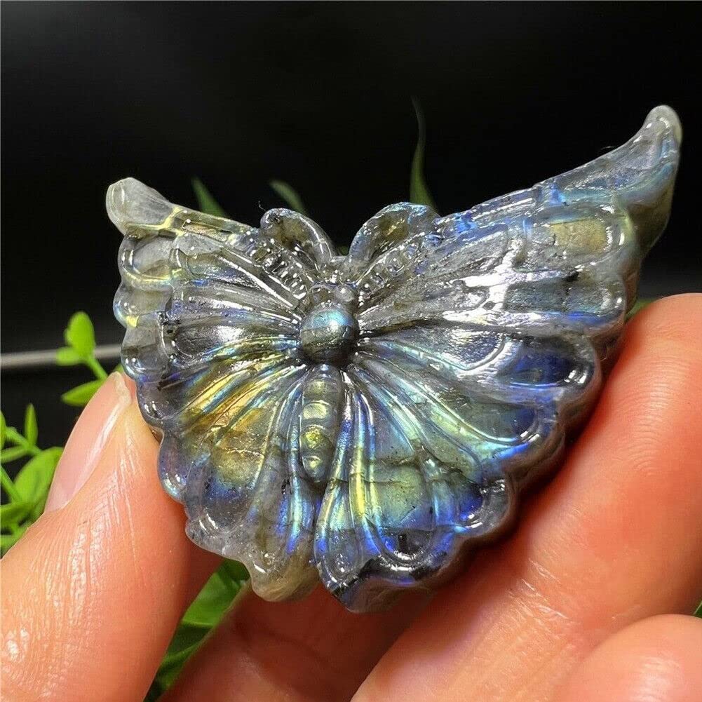 TEAMWILL 2" Natural Labradorite Carved Butterfly Skull Quartz Crystal Healing Reiki