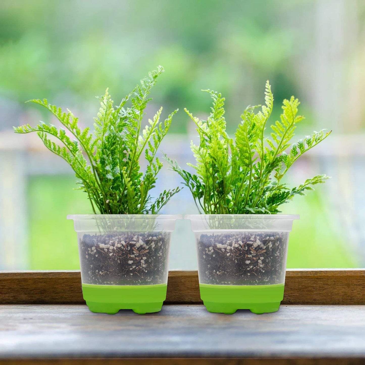 MIXC Thickened Clear Nursery Pots with Silicone Base for Easy Transplant 30 Packs 4 Inch, Transparent Plant Pot Reusable Seedling Pots for Vegetable Propagation, Root Cutting, Seed Starting, Green