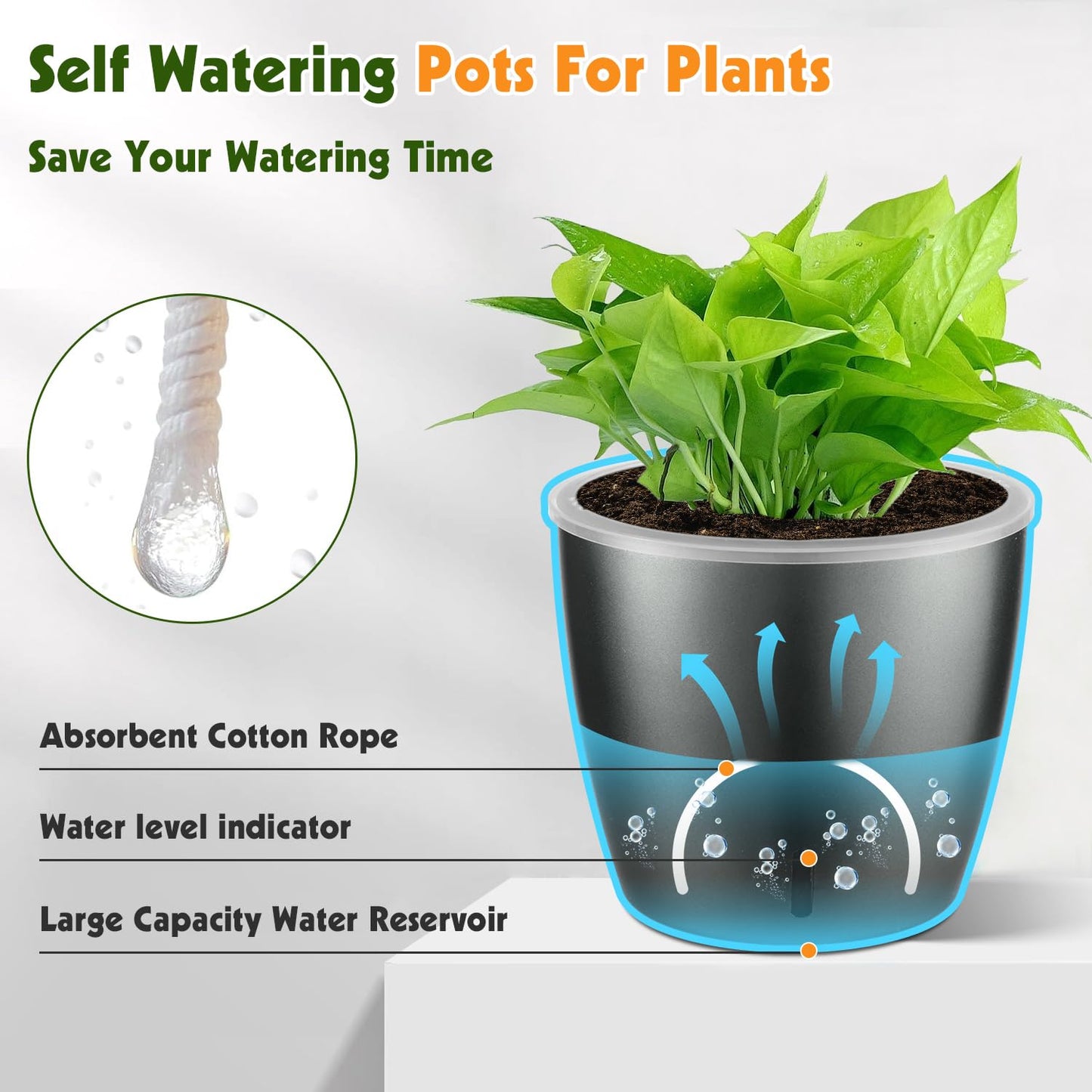 KvyusFlourish Self Watering Pots for Indoor Plants, 6-Pack 6.7'' Self Watering Planter with Drainage Holes, Small African Violet Pots with Water Indicator, Clear Wick Orchid Pot, Grey Gold