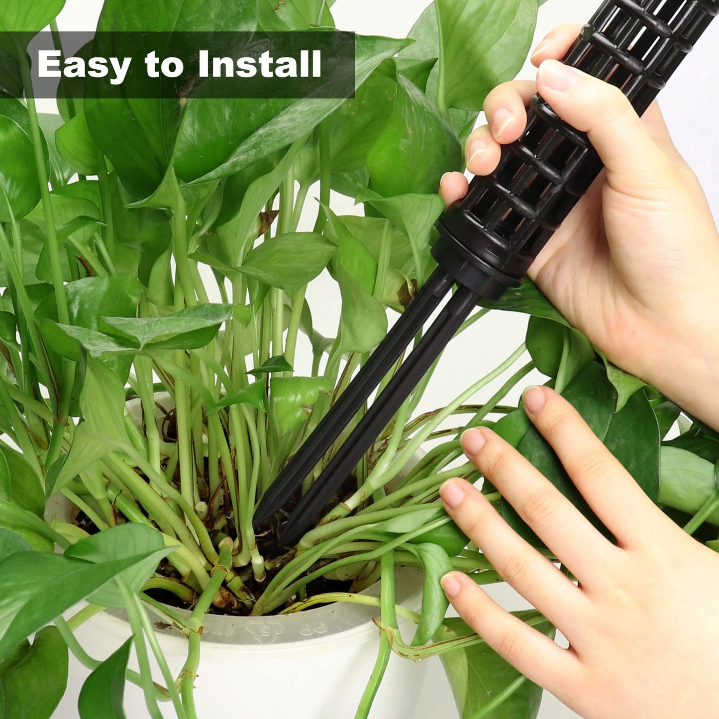 LangRay Moss Pole for Climbing Plants Monstera, Indoor Plant Supports, Plastic Moss Stick, Plant Stake for Garden, Extension Aid Climbing Rob (Black, 6pcs 10inch)